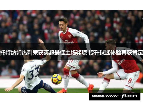 托特纳姆热刺荣获英超最佳主场奖项 提升球迷体验再获肯定